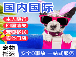 白城国际宠物托运 【国
